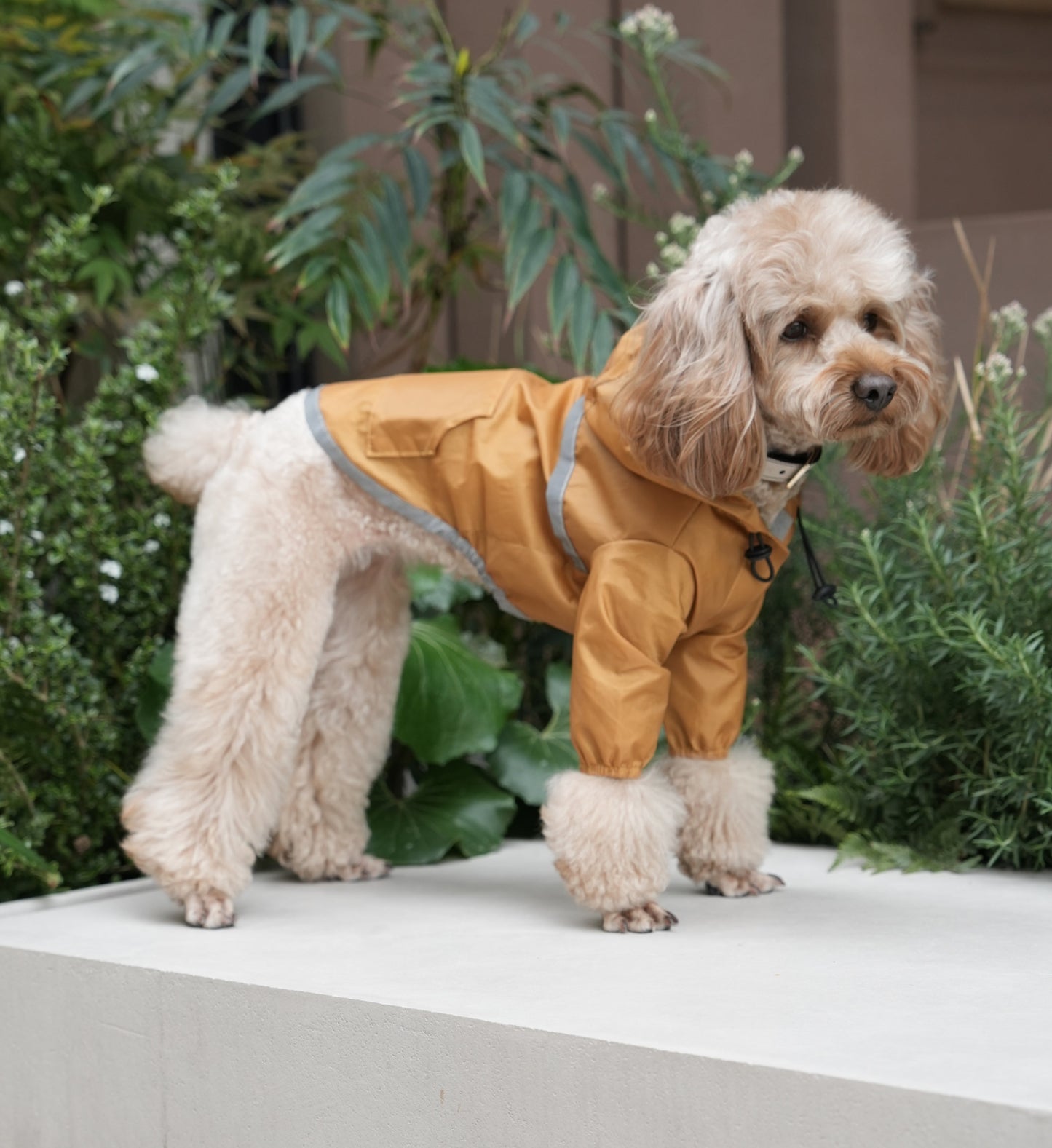 Ultralight Full covered hooded waterproof dog jacket -