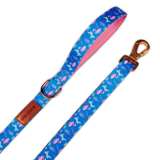 Flamingo Fiesta Leash - Purrfect Pet Kingdom
