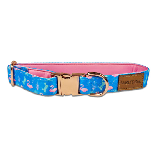 Dog Collar Flamingo Cactus Rose Gold Hardware 🦩