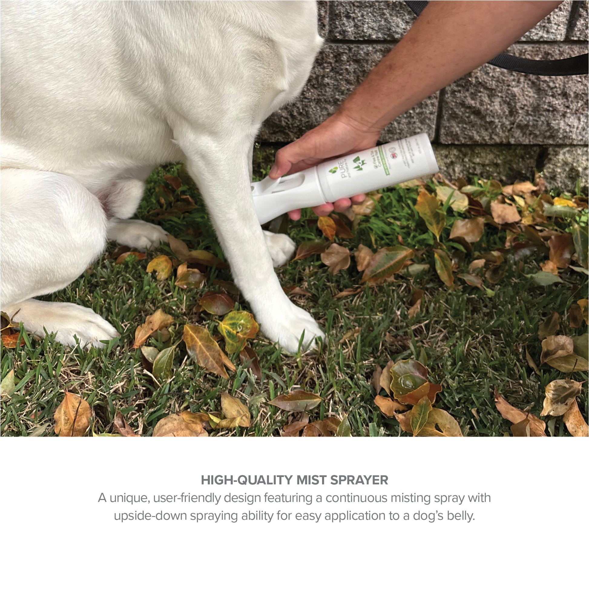 Purrfect Pet Kingdom Natural Flea and Tick Spray being applied to a white dog's leg with a white mist sprayer bottle.