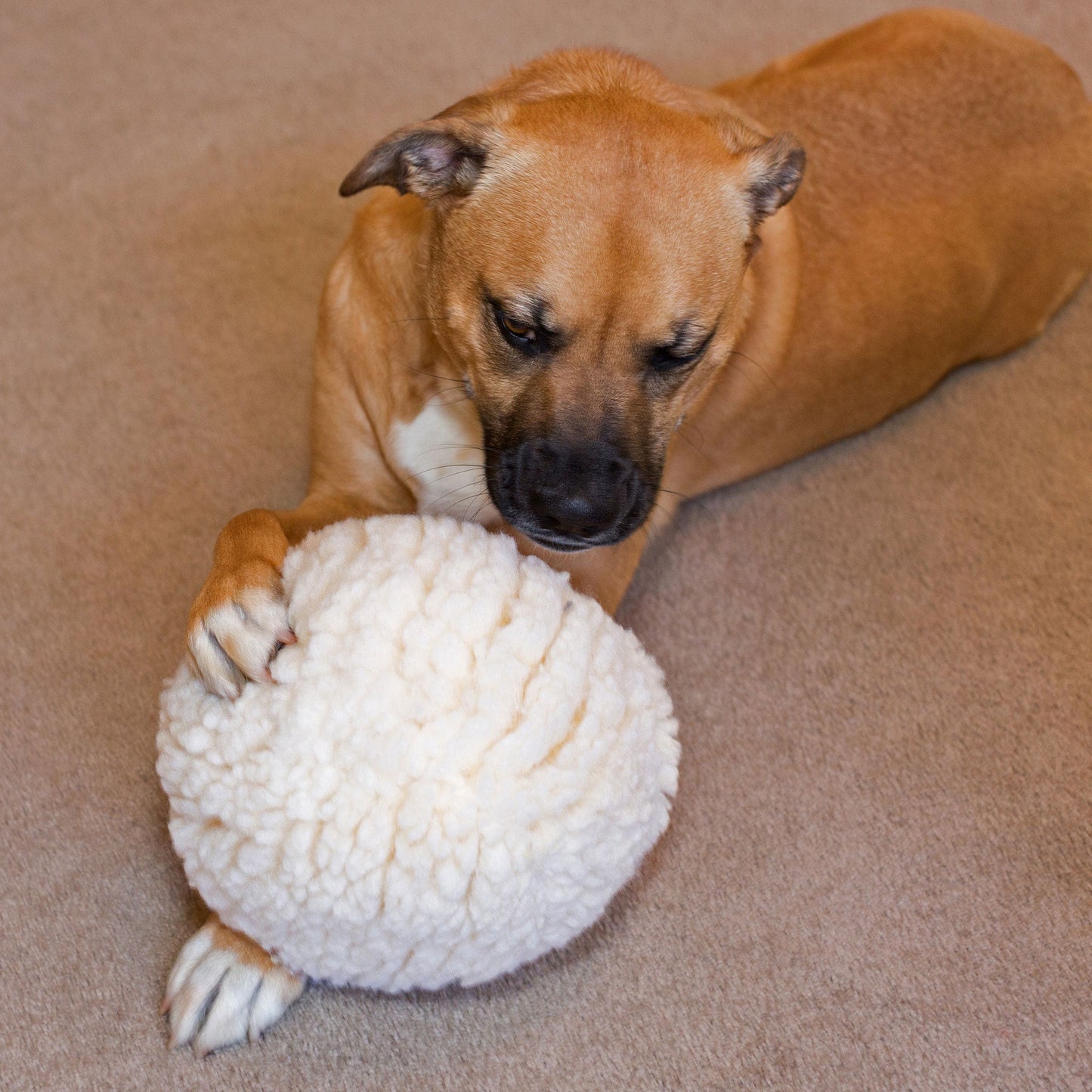 HuggleFleece® Plush Ball Dog Toy