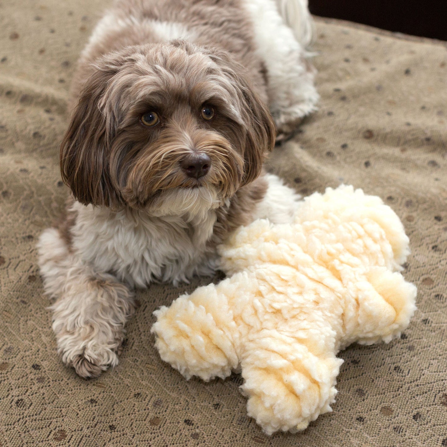 Dog Toy HuggleFleece Man Plush Toy Regular for Daily Use - close up product image for dog toy