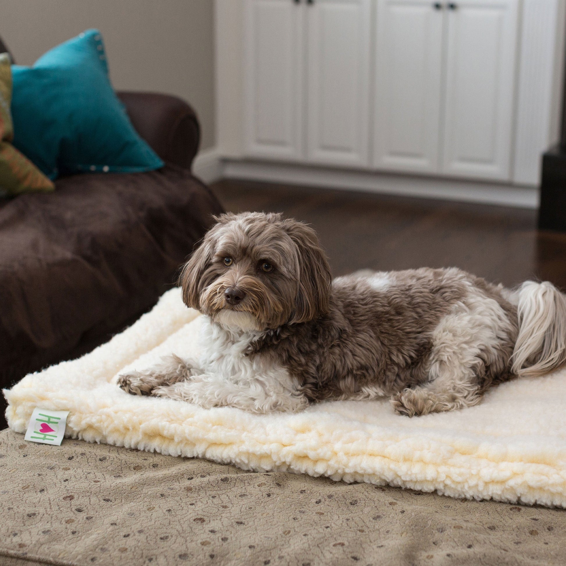 Cat Bed HuggleFleece Mat Bed for Daily Use for Comfort Essen - gallery product image for cat bed