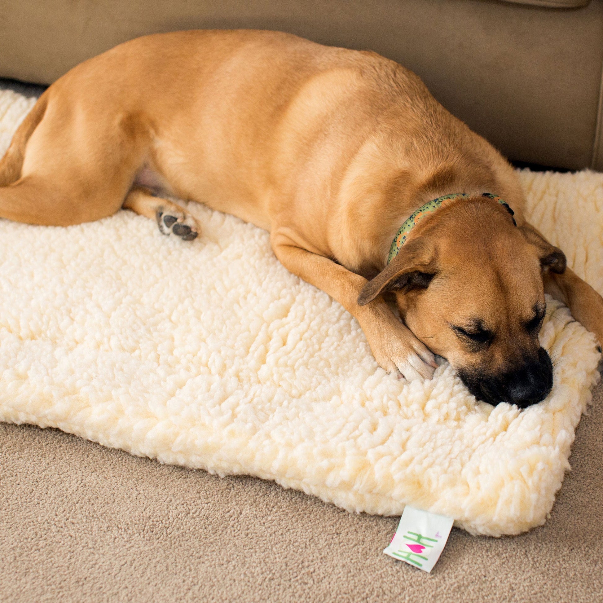 Cat Bed HuggleFleece Mat Bed for Daily Use for Comfort Essen - gallery product image for cat bed