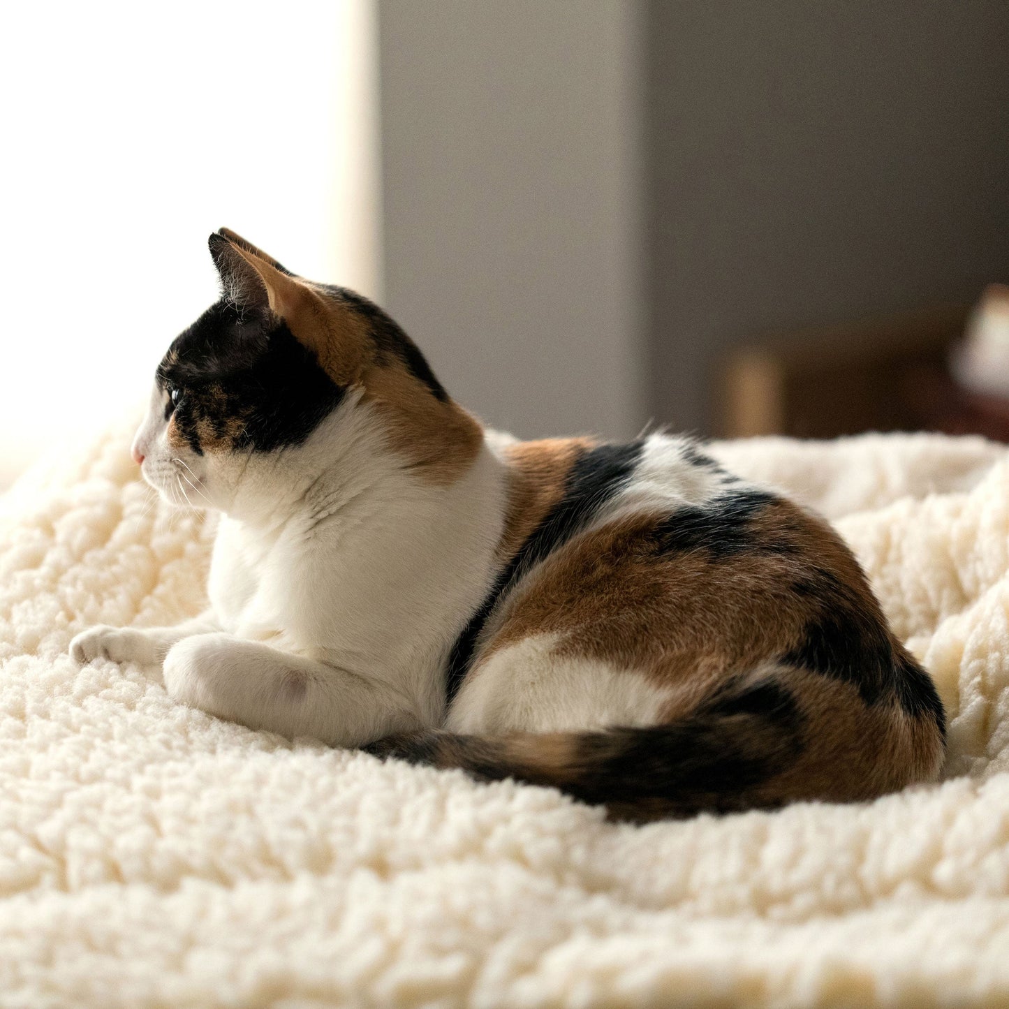 Cat Bed HuggleFleece Mat Bed for Daily Use for Comfort Essen - gallery product image for cat bed