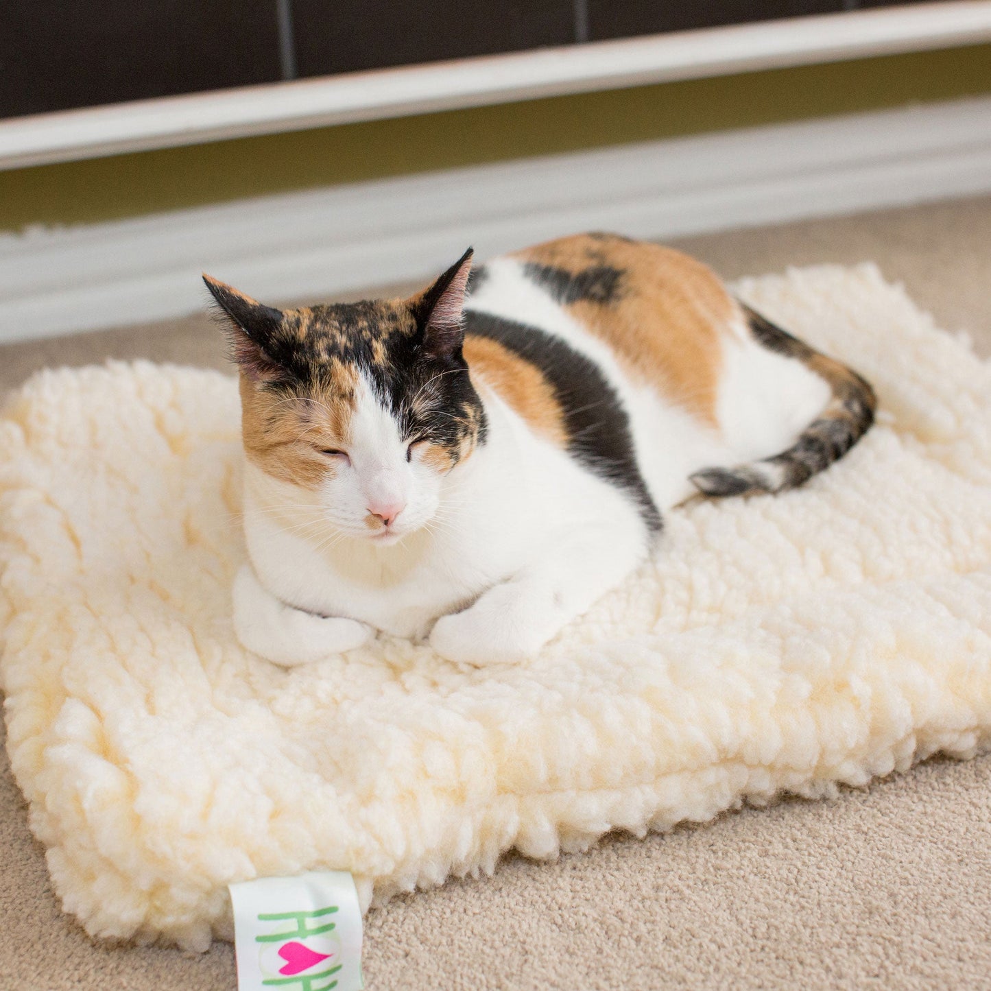Cat Bed HuggleFleece Mat Bed for Daily Use for Comfort Essen - gallery product image for cat bed