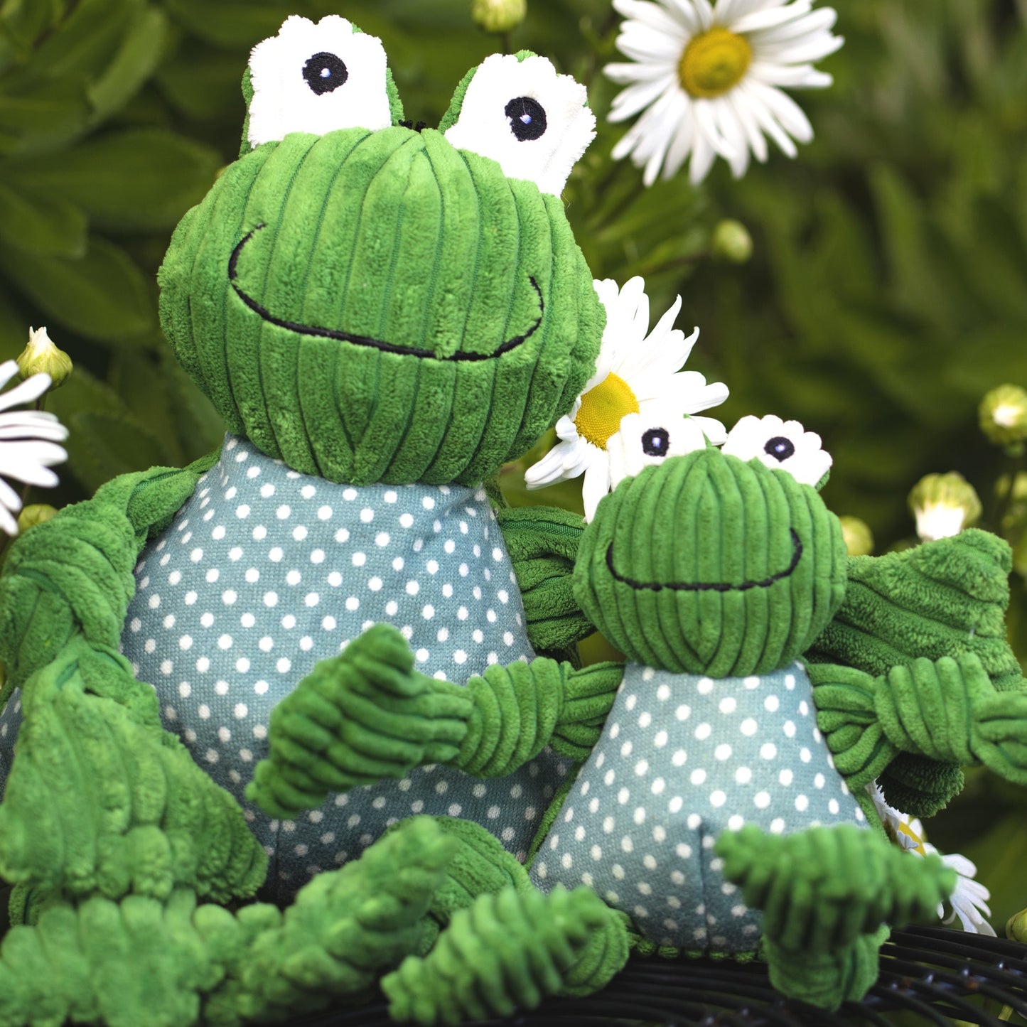 Dog Toy Fergie Frog Knottie Plush Toy for Daily Use Essentia - gallery product image for dog toy