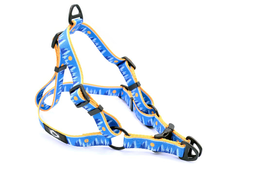 Outdoor Style Frozen Forest Nylon Step In Dog Harness - nylon dog harness - Euro - Dog Collars and Leads - S 5/8" Wide 16" - 20" Range - sku - 43943401554116