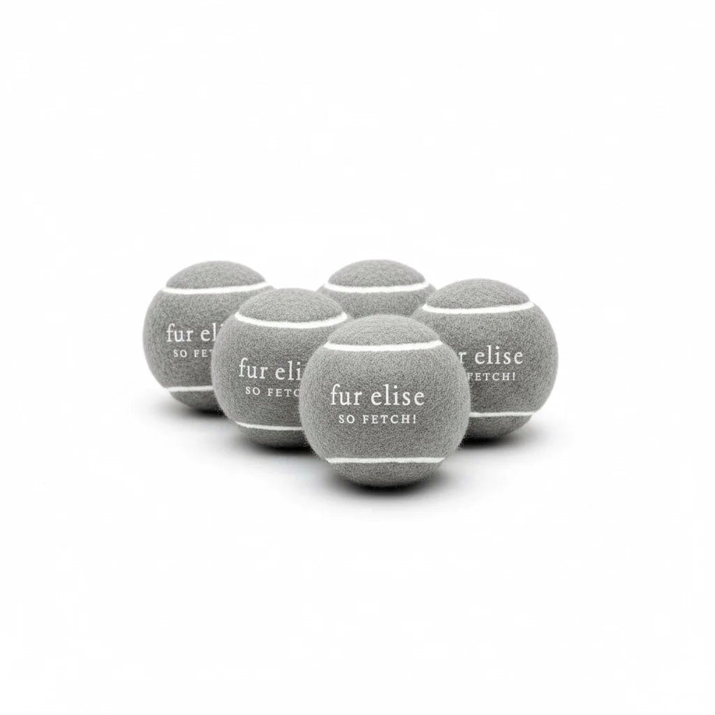 So Fetch! Tennis Ball Pack of 5 - Steel