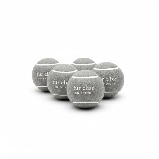 So Fetch! Tennis Ball Pack of 5 - Steel