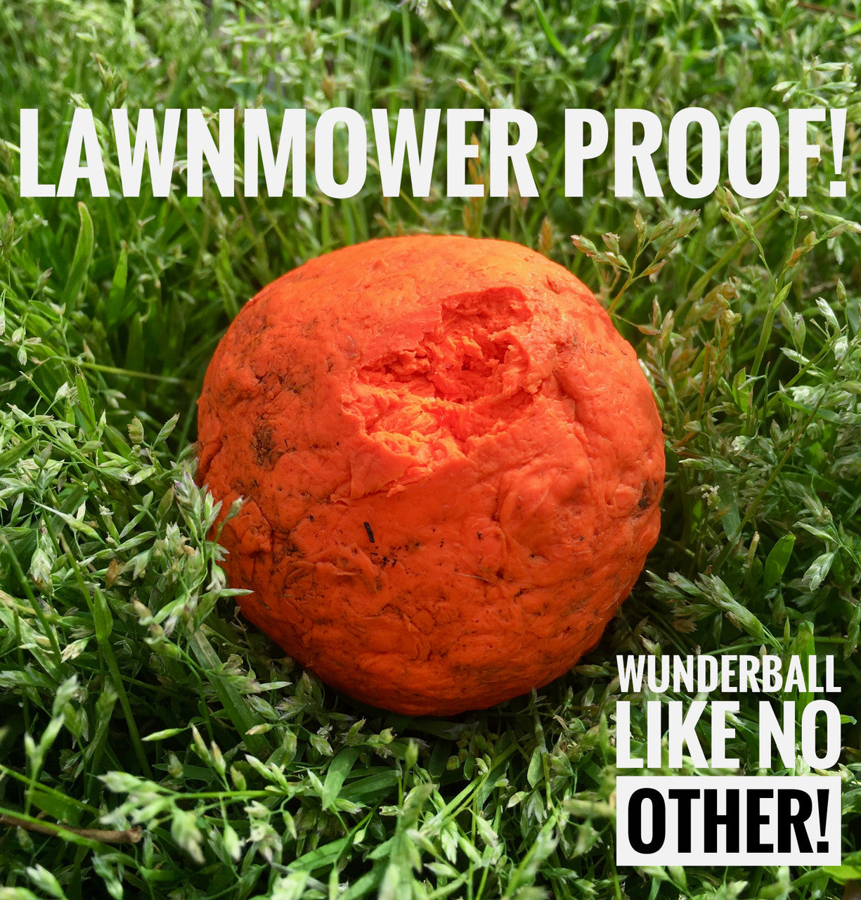 WUNDERBALL - Best Fetch Toy - Purrfect Pet Kingdom