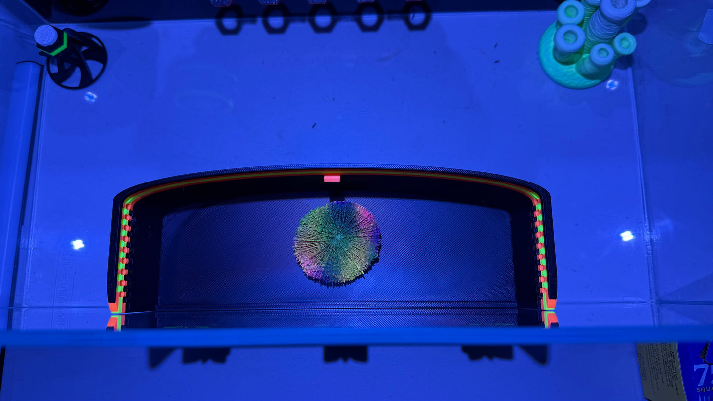 XL ClearView 12x3x3 Viewing Portal