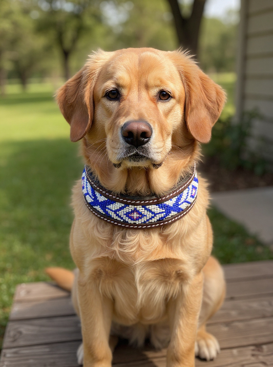 Padded Leather Dog Collar for Dogs – Elegant Beaded Design