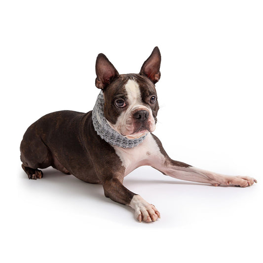 Chalet Tube Scarf - Heather Grey - GF Pet.us