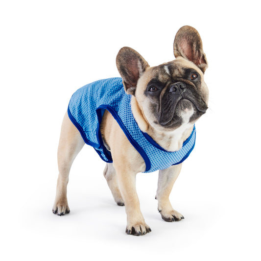 Elasto Fit Ice Vest Blue Dog Apparel Premium Pet Supply - main product image