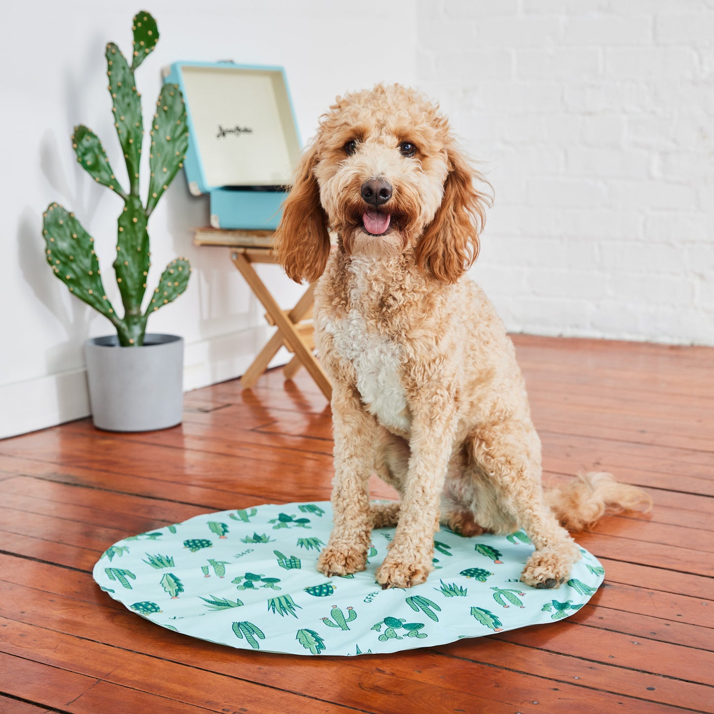 GF Pet Ice Mat 🧊