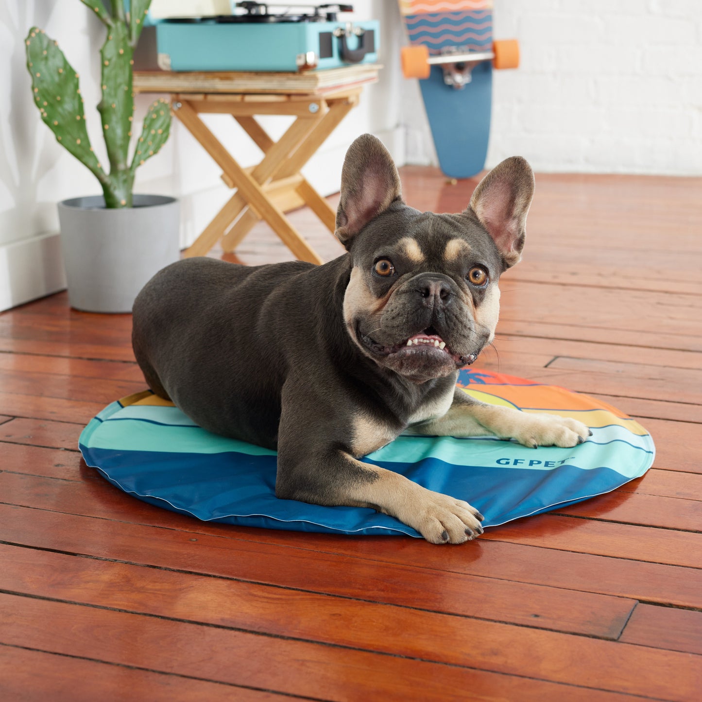 GF Pet Ice Mat 🧊