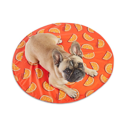 GF Pet round orange cooling mat with orange slice pattern. French Bulldog lies on the smooth, vibrant summer dog bed.