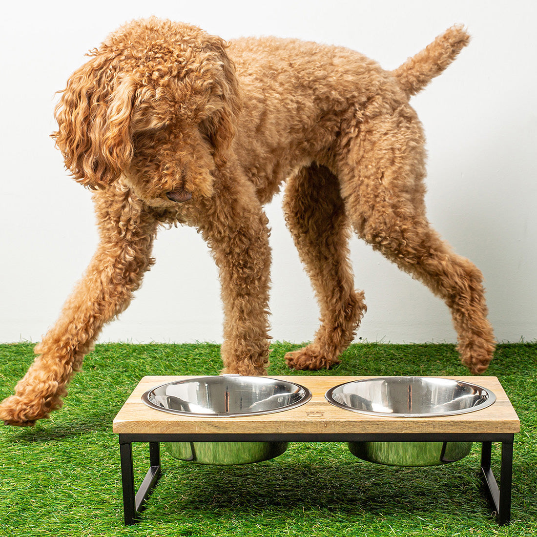 Wood & Metal Elevated Feeder - GF Pet.us