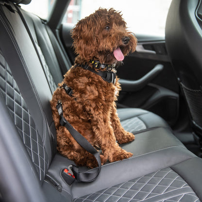 Pet Seat Belt Tether - GF Pet.us
