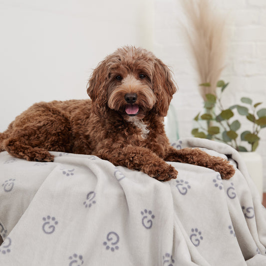 Pet Blankets Adjustable Classic Premium Pet Supply Premium - detail view