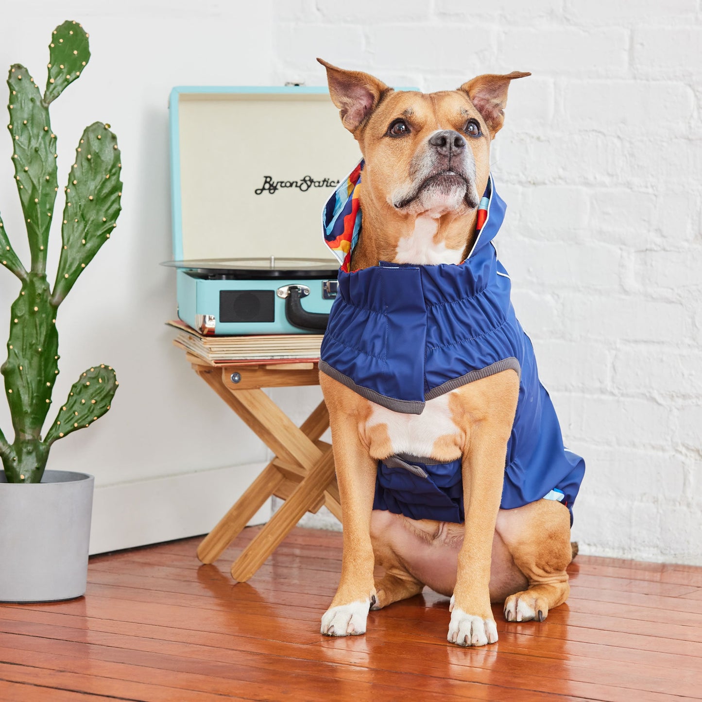 Reversible Elasto-Fit Raincoat Navy Navy 🌧️