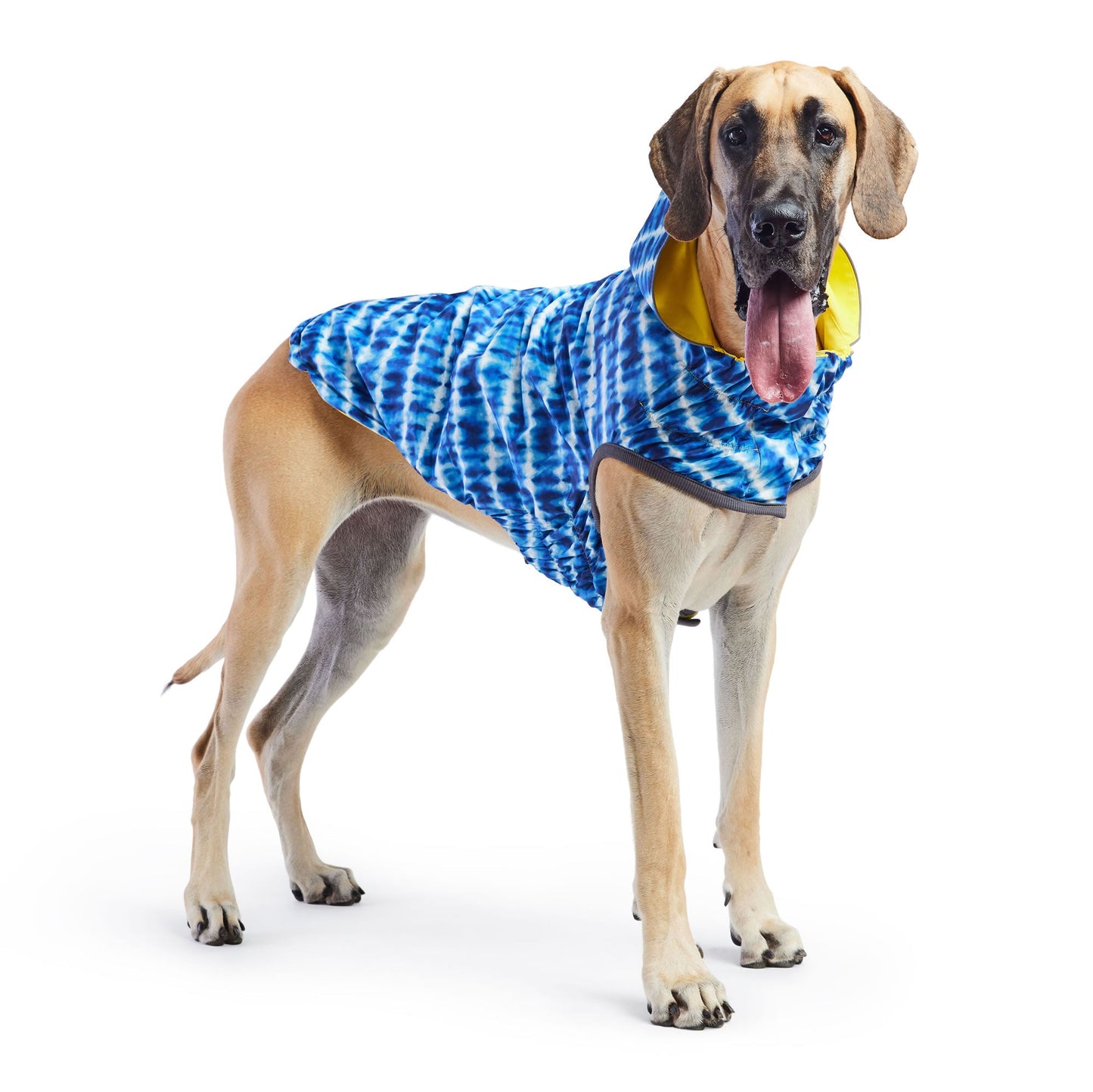 Reversible Elasto-Fit Raincoat - Yellow/Blue 🌧️