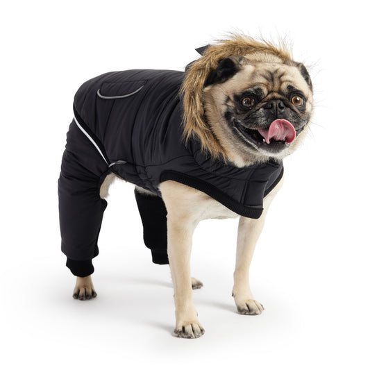 Creekside Snowsuit - Black ❄️