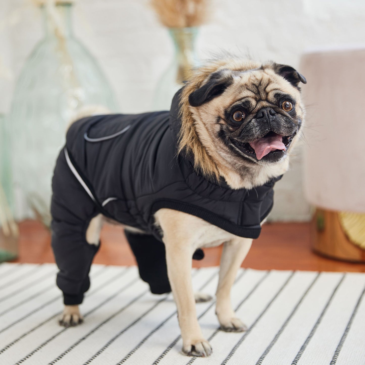 Creekside Snowsuit - Black ❄️