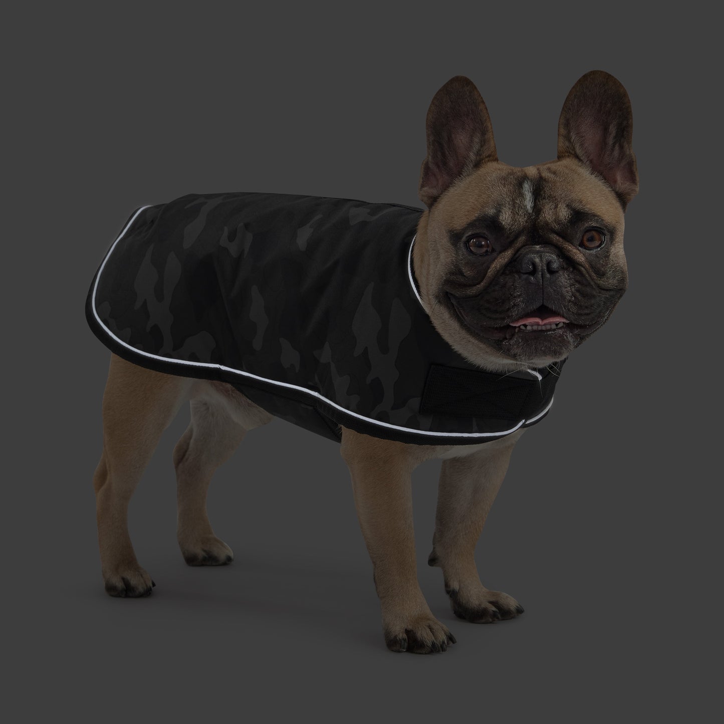 Blanket Jacket - Camo 🎖️