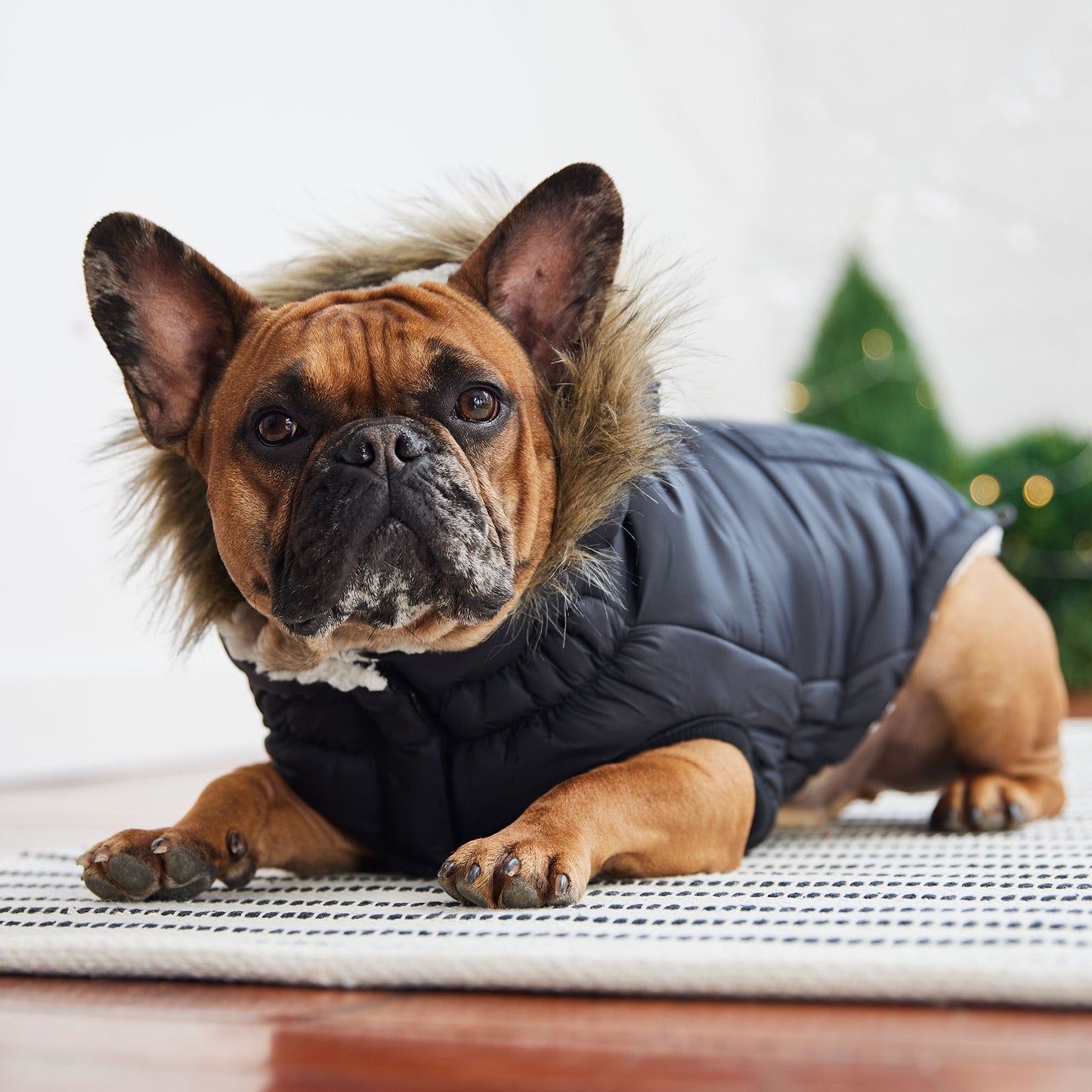 Urban Parka - Black 🏙️