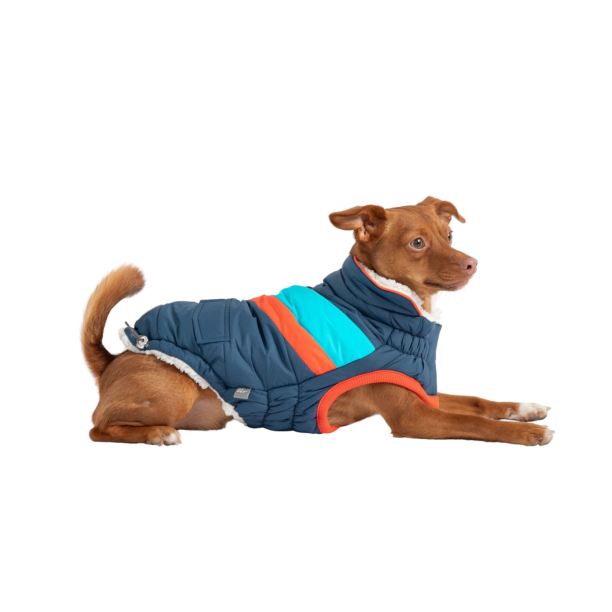 Alpine Puffer - Dark Blue - detail view | Dog Jackets at Purrfect Pet Kingdom for Dogs and Cats