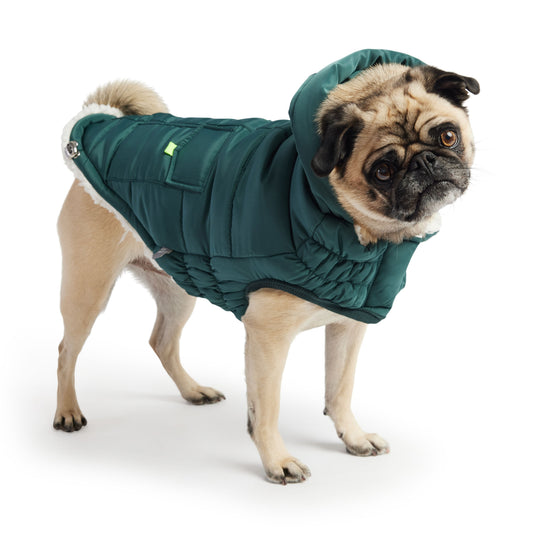 The Puff Parka Teal Dog Apparel Premium Pet Supply Premium - detail view