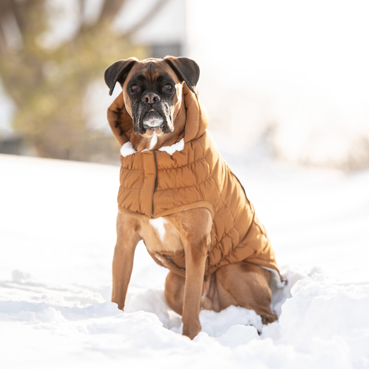 Arctic Parka - Wood 🧥