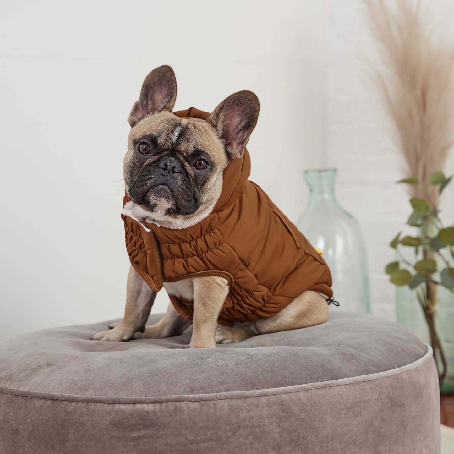 Arctic Parka - Wood 🧥