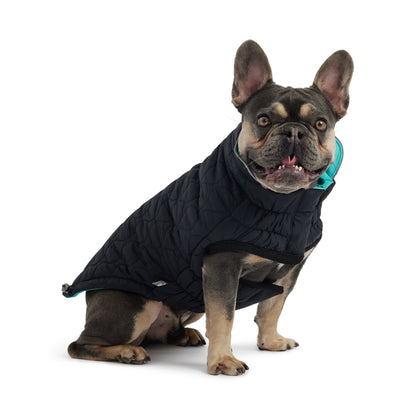 Reversible Chalet Jacket - Black/Aqua - Jacket - GF Pet.us