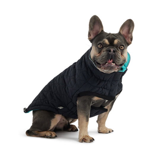 Reversible Chalet Jacket - Black/Aqua 🔄