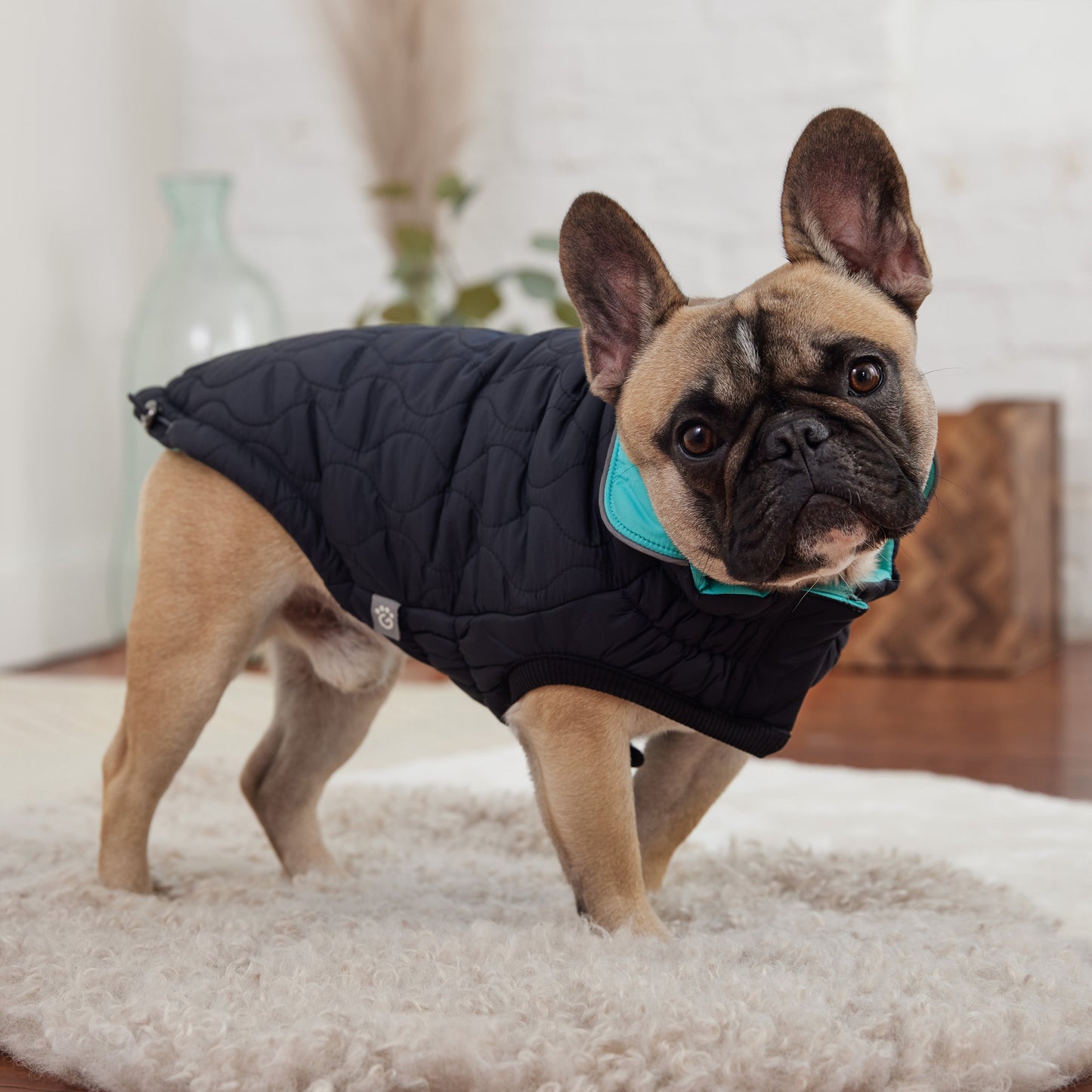 Reversible Chalet Jacket - Black/Aqua 🔄