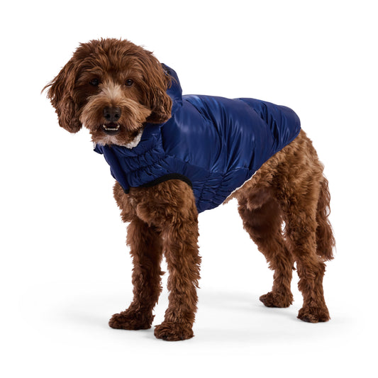 Lunar Glow Parka Dog Jackets Premium Pet Supply Premium - detail view