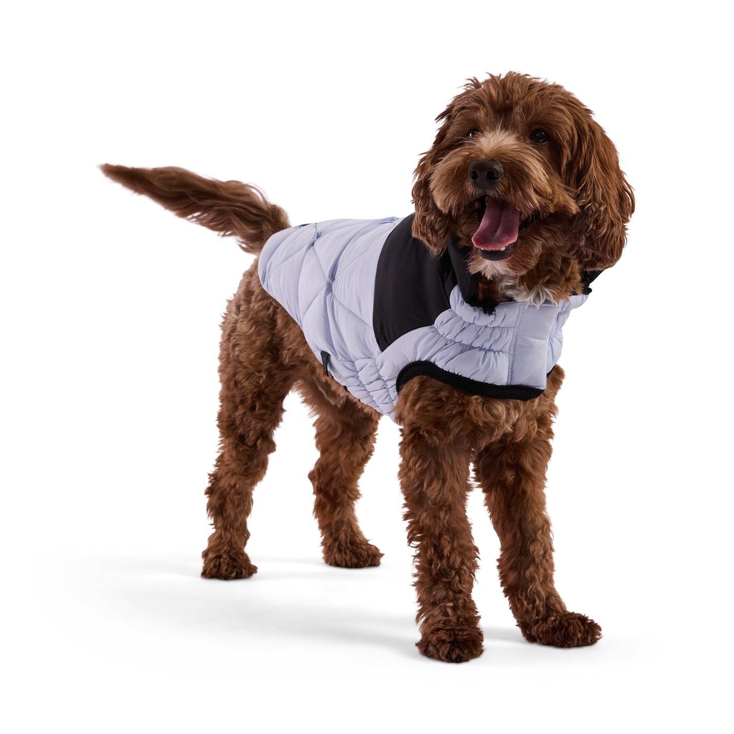 Diamond Puffer Dog Jacket