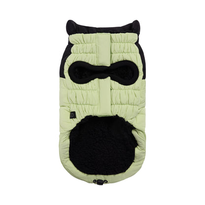 Diamond Puffer - GF Pet.us