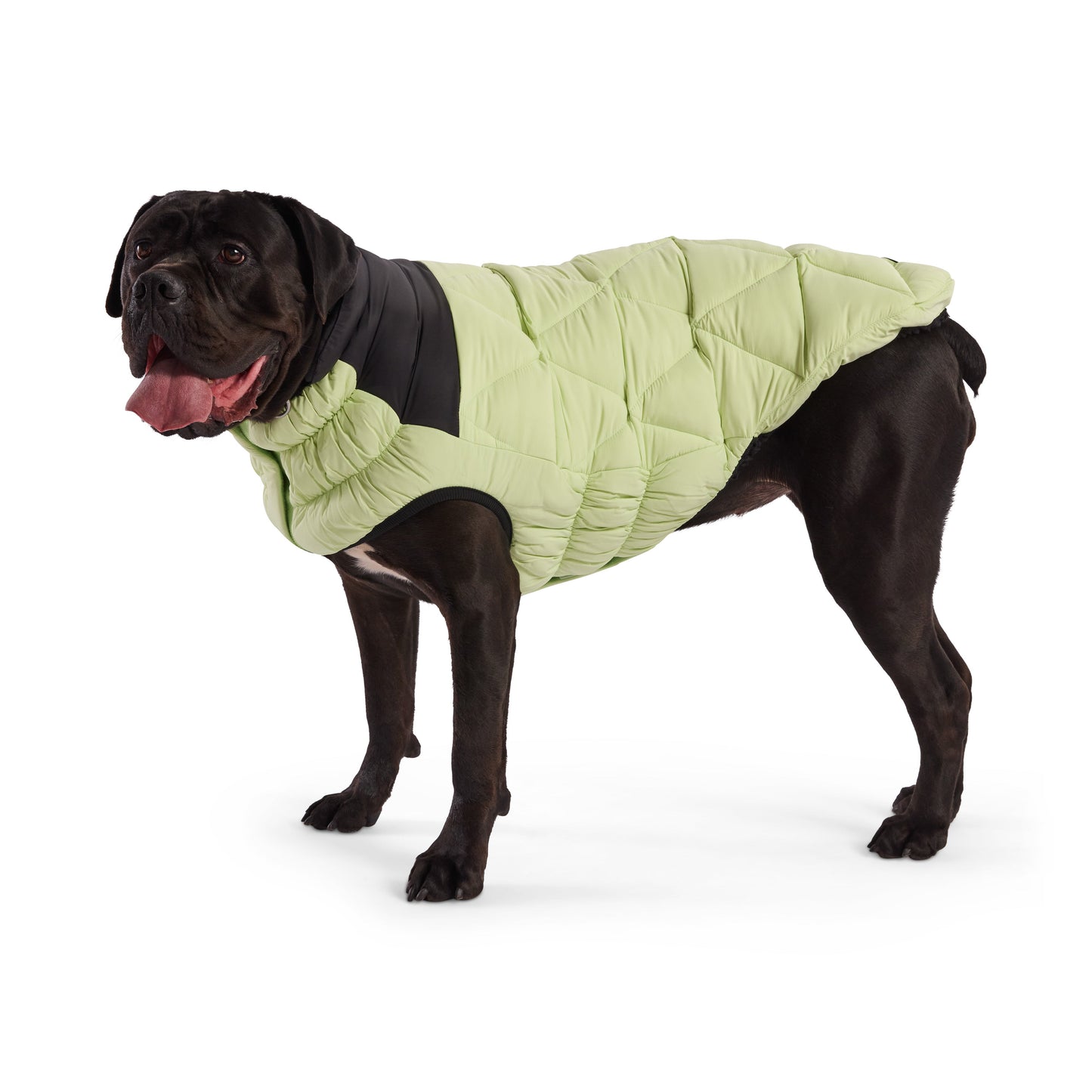 Diamond Puffer Dog Jacket