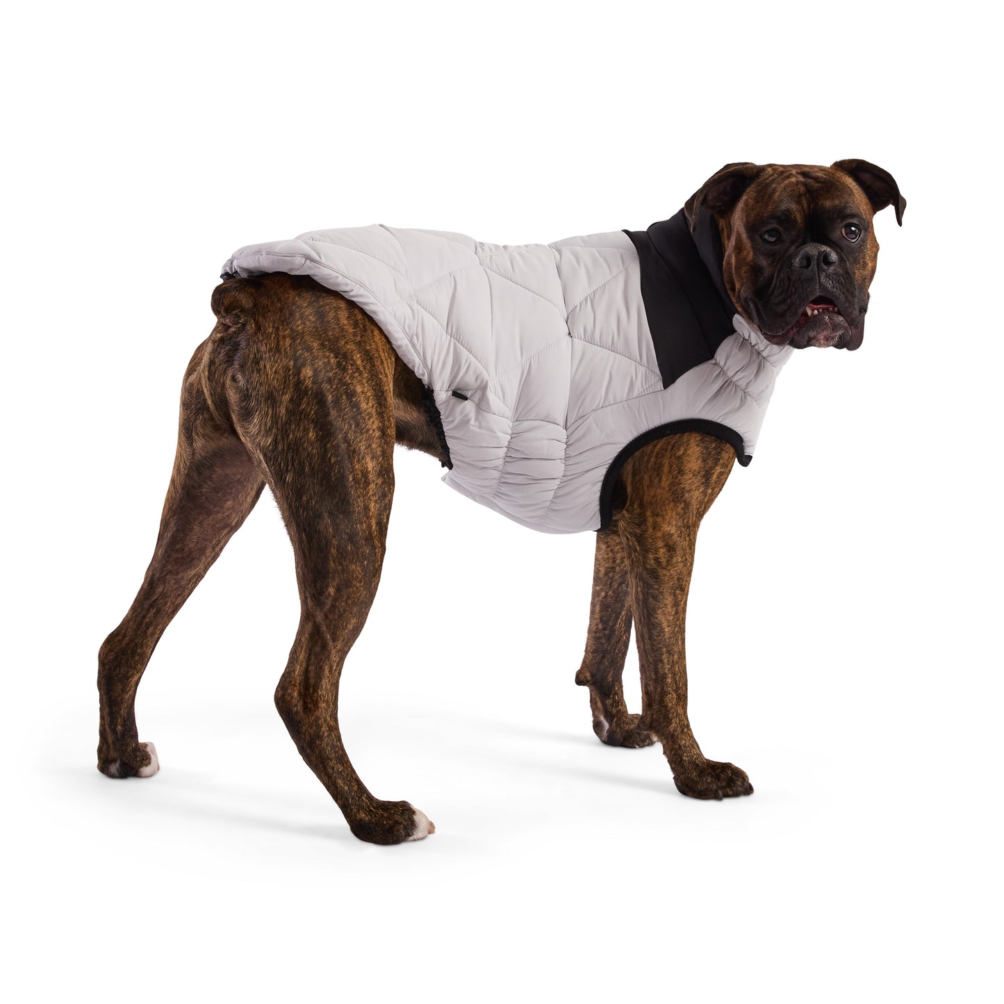 Diamond Puffer Dog Jacket