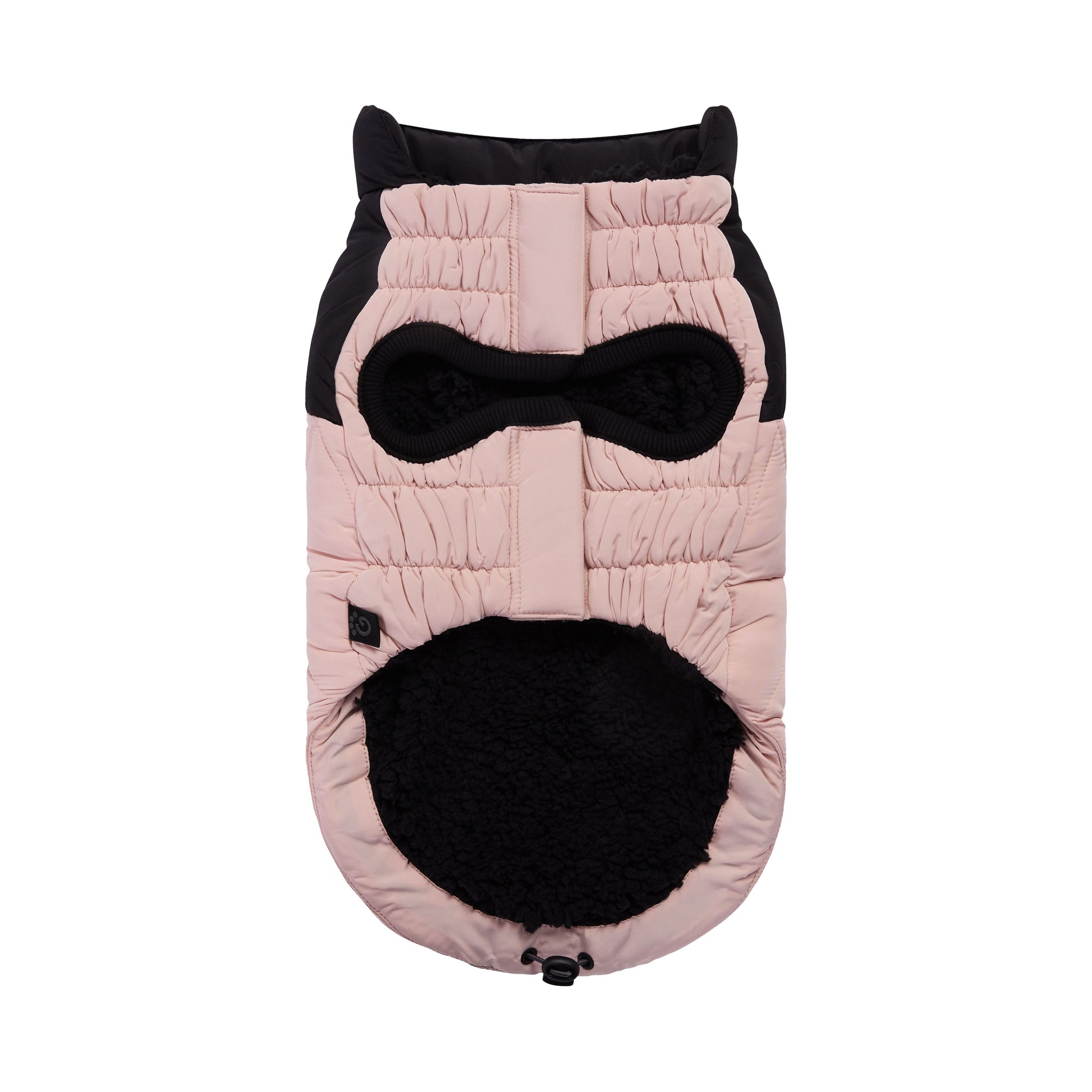Diamond Puffer - GF Pet.us
