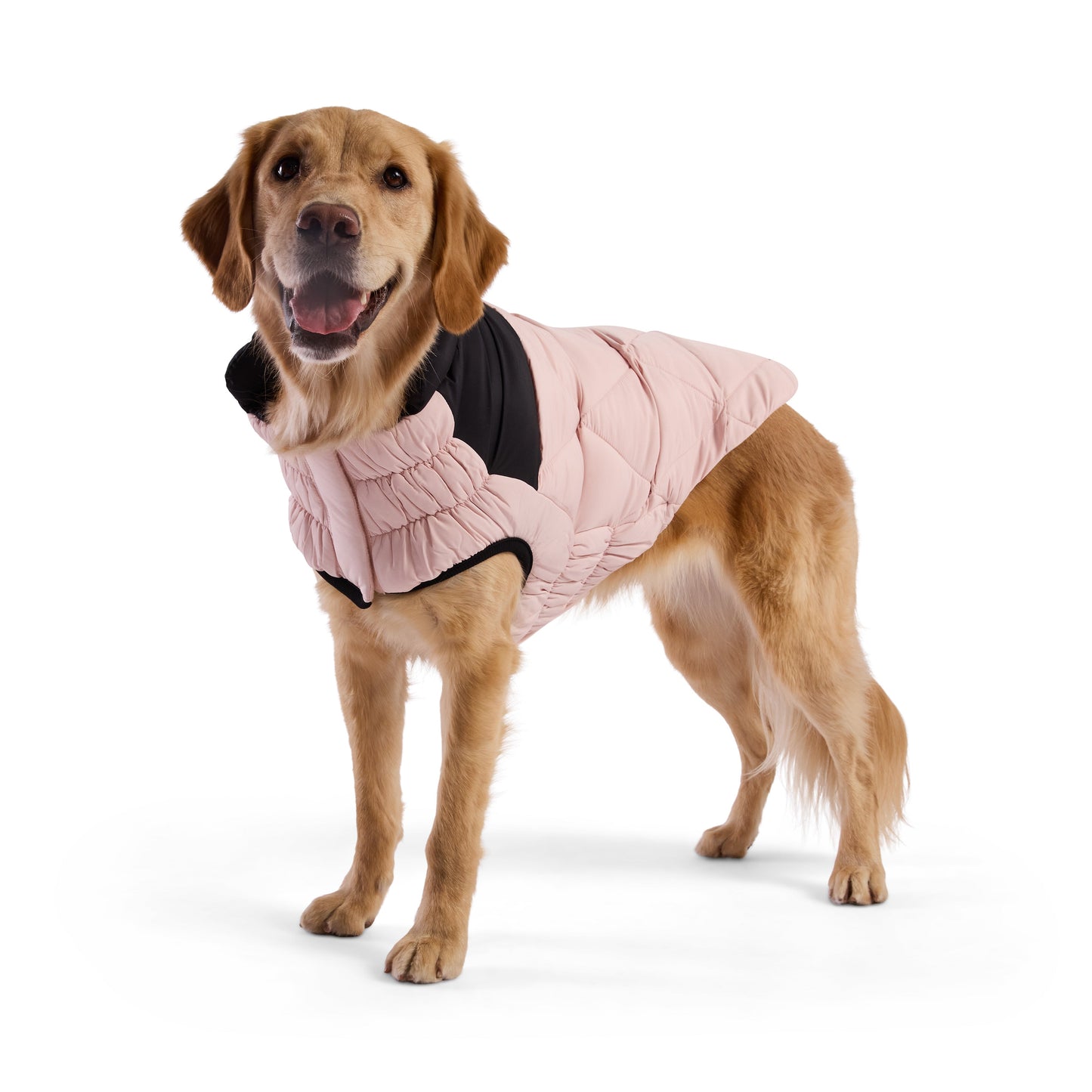 Diamond Puffer Dog Jacket