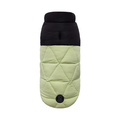 Diamond Puffer - GF Pet.us