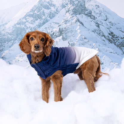 GF Pet Elasto-Fit Good Vibes Dog Hoodie Premium Pet Apparel