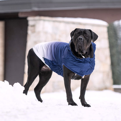 Navy and white ombre GF Pet Elasto-Fit dog hoodie with quilted chest and smocked sides on a black dog in snow.