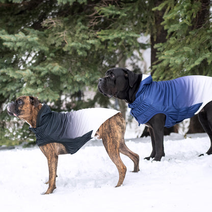 GF Pet Elasto-Fit Good Vibes Dog Hoodie Premium Pet Apparel