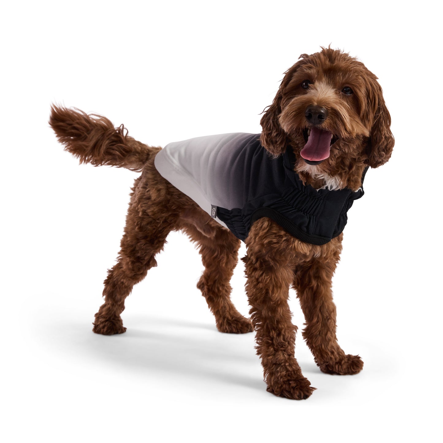 Good Vibes Dog Hoodie